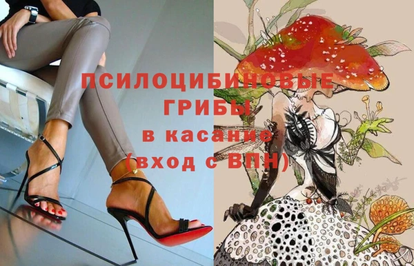 jwh Алзамай