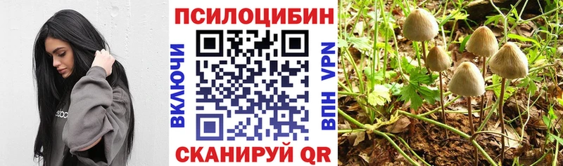 blacksprut ссылки  мориарти клад  Галлюциногенные грибы Psilocybe  где можно купить   Карабулак 